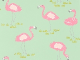 Papel de Parede | ref:Felicity Flamingo 111278